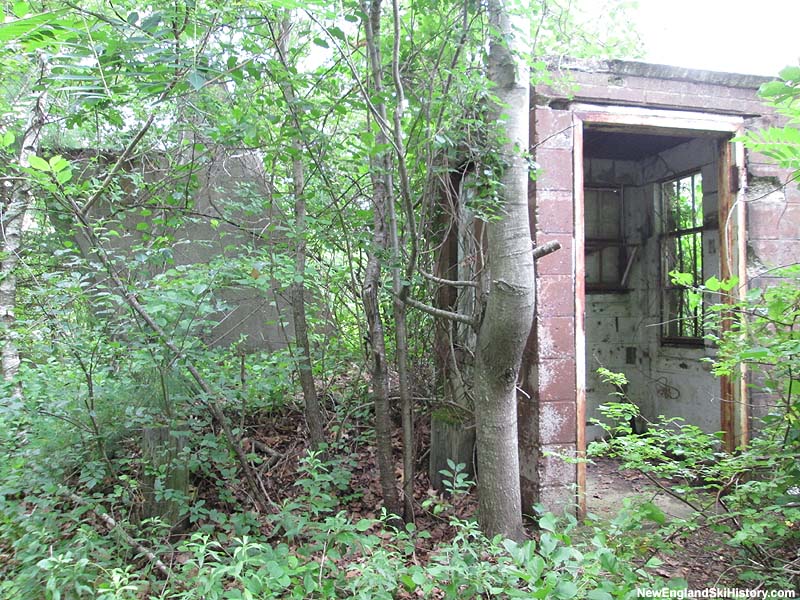 The top terminal (2015)