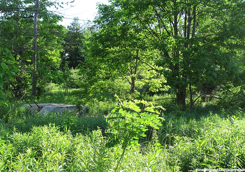 Bottom terminal remains (2015)