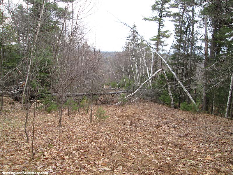 The former lift line (2014)