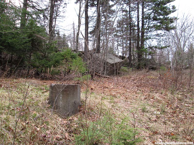 Top terminal remains (2014)