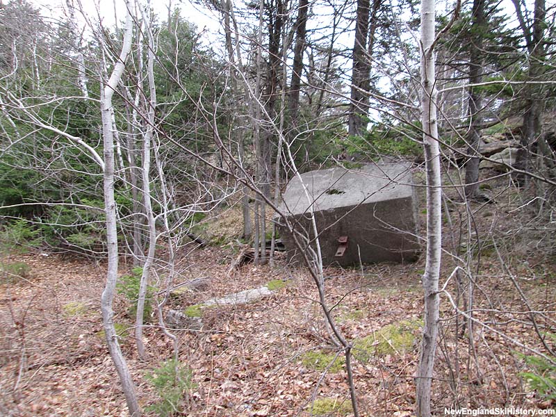 Top terminal remains (2014)