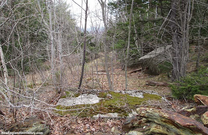 Top terminal remains (2014)