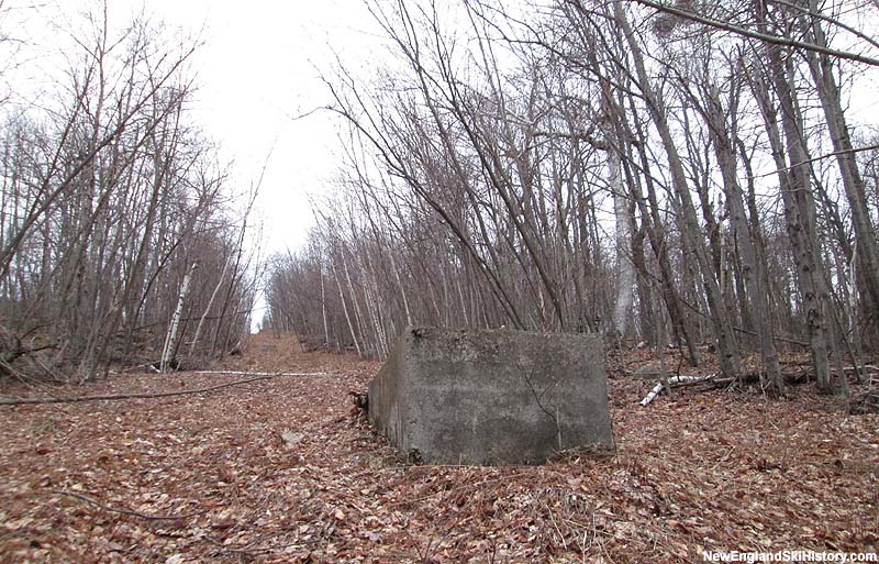 Looking up the former lift line (2014)