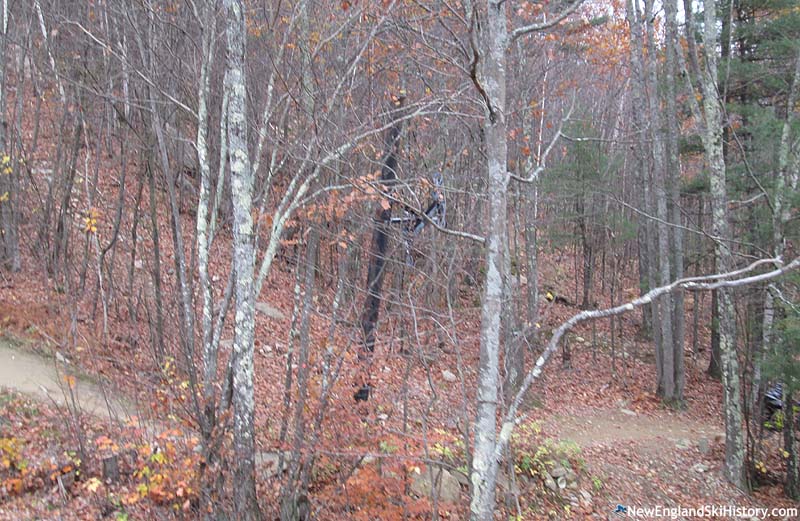 The lift line (2017)