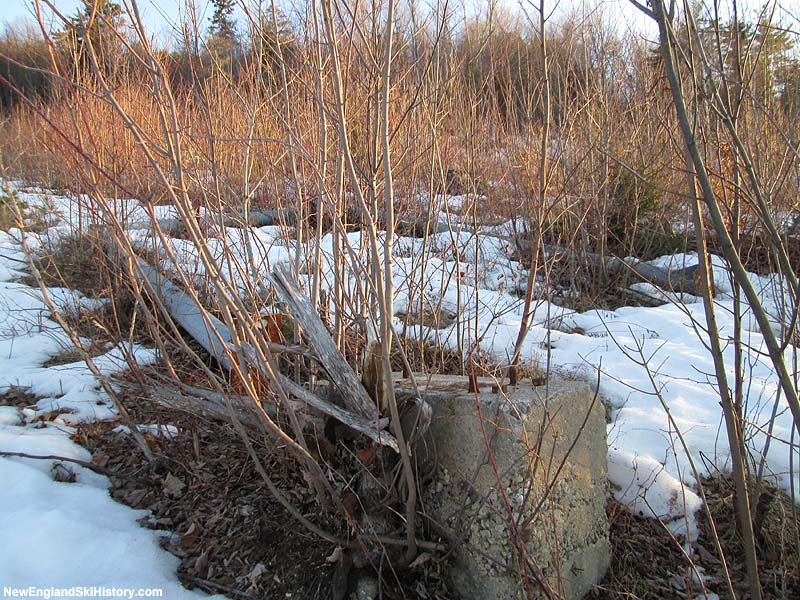 A tower on the ground (2014)