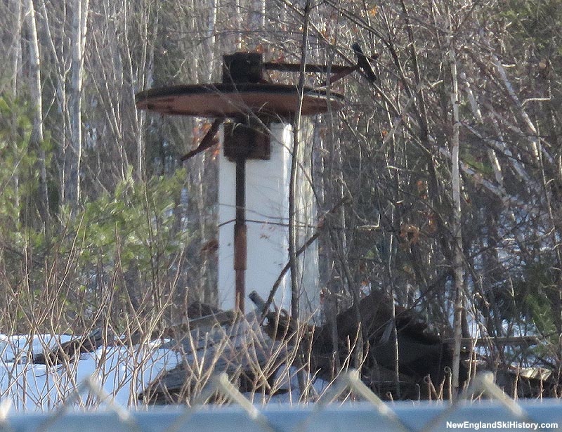 The bottom terminal (2015)