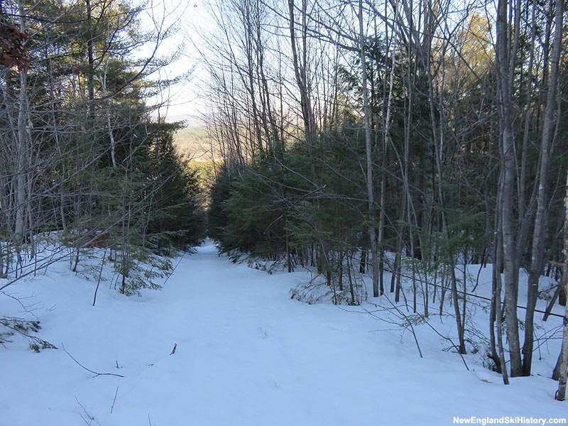 The lift line (2015)