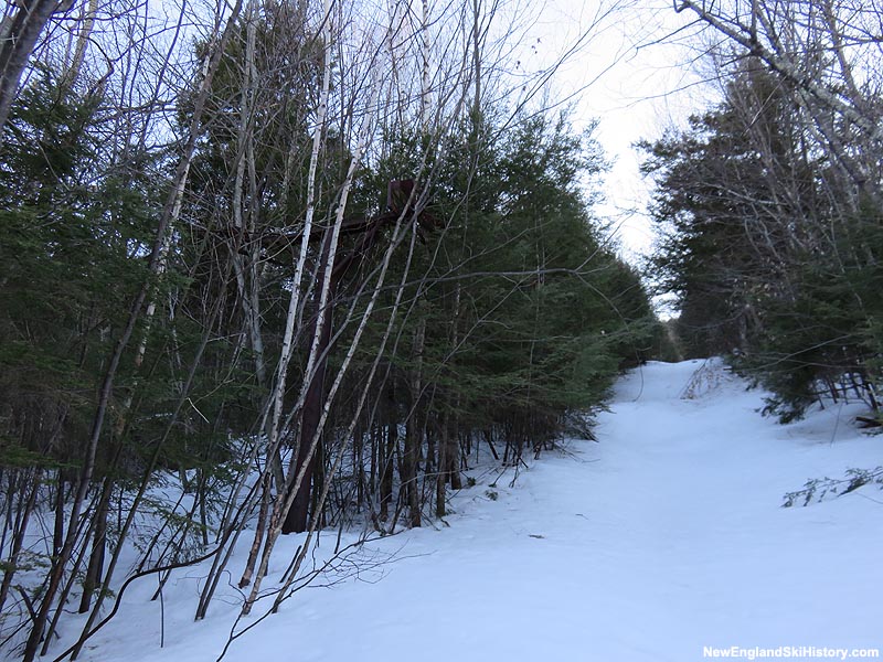 The lift line (2015)
