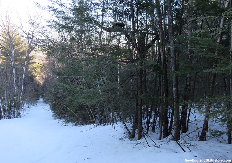 The lift line (2015)
