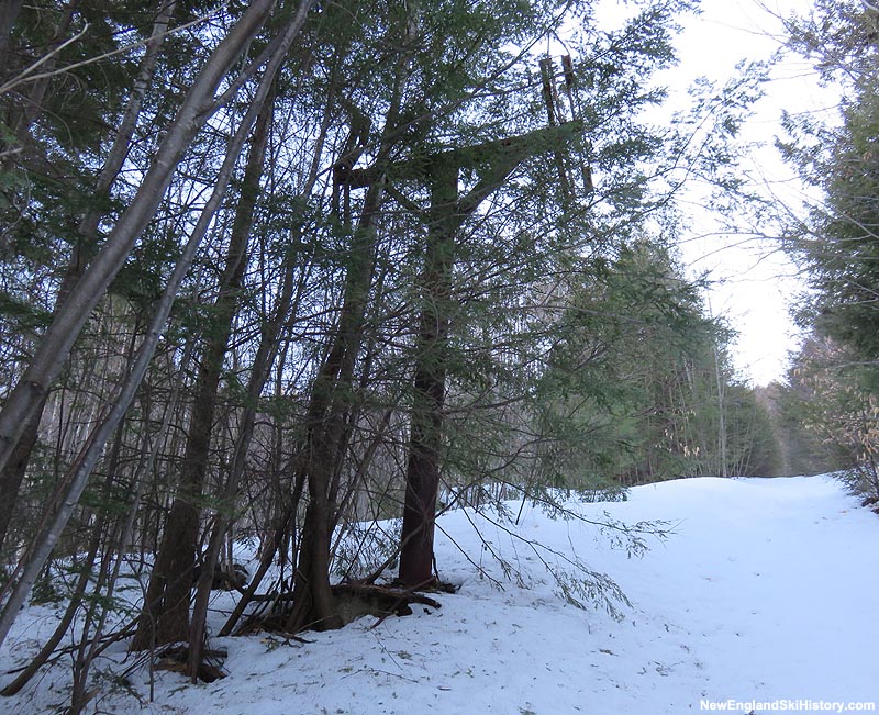 The lift line (2015)