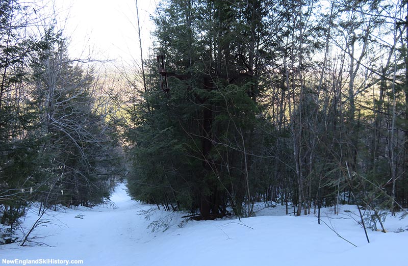 The lift line (2015)