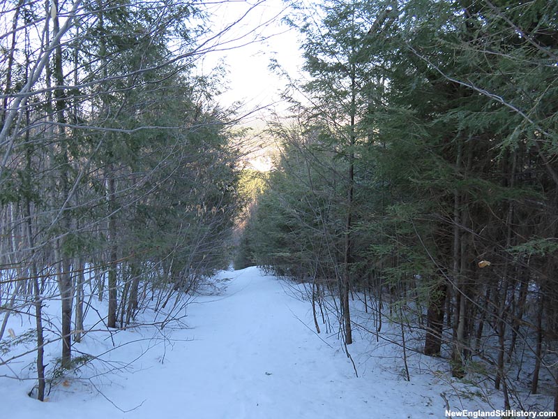 The lift line (2015)