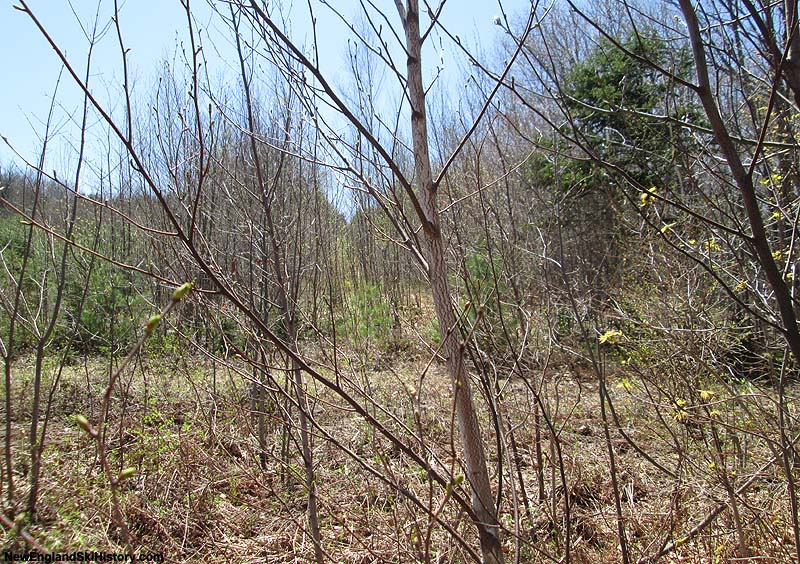 The former lift line (2014)