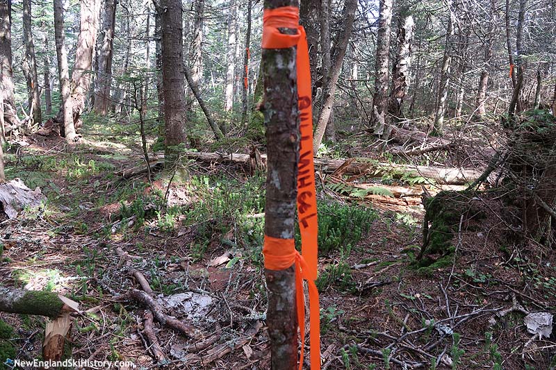 The top terminal location (September 2017)