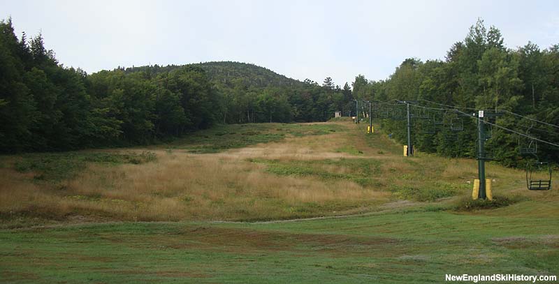 The Lower Meadows Double in 2011