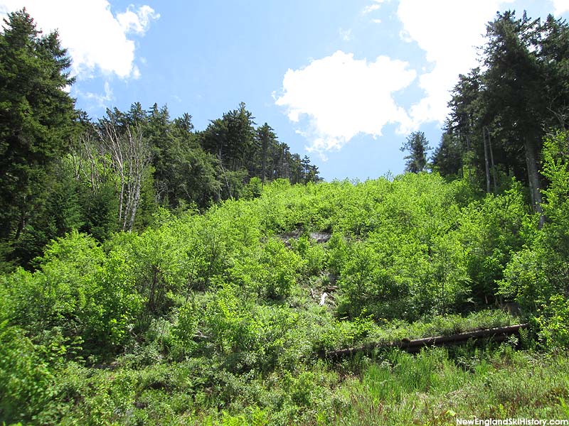 The former lift line (2014)