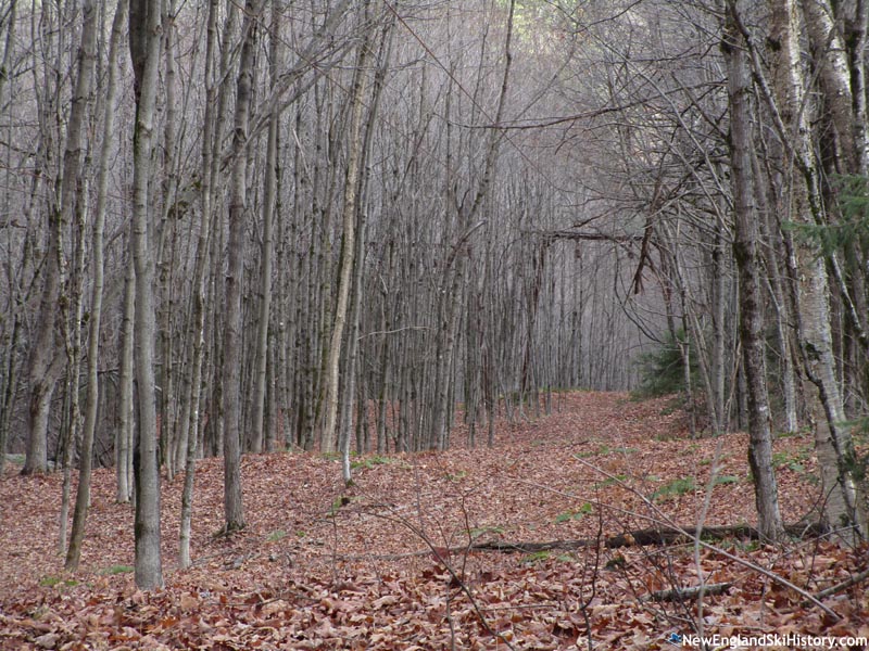 The lift line (November 2023)