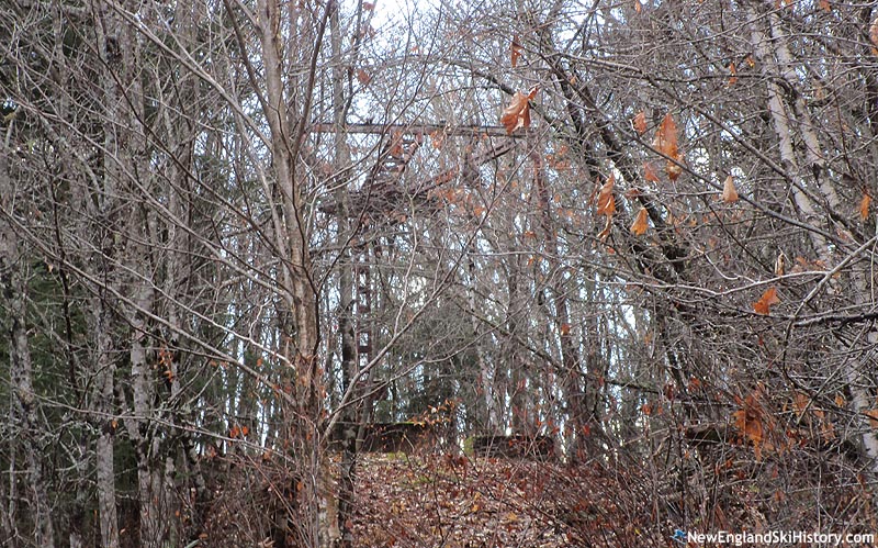 The top terminal (November 2023)