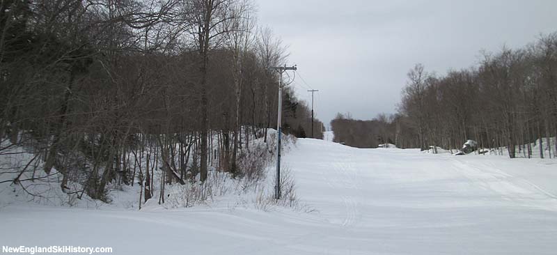 Remains of the Bailey Falls Pomalift in 2014