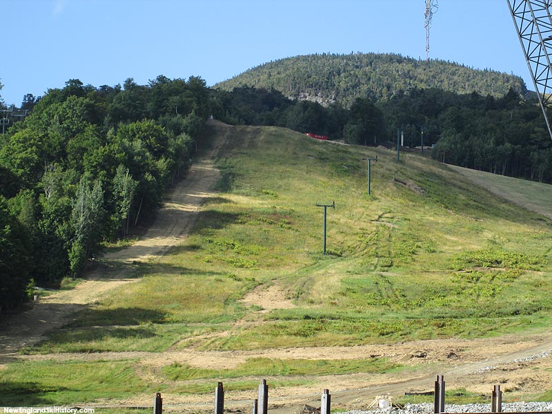 Remaining towers during 2014 removal