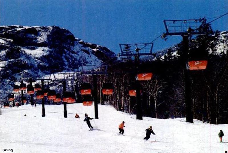 The lift line (1992)