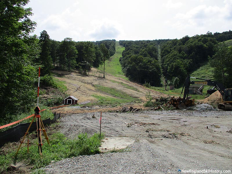 Survey (August 2018)