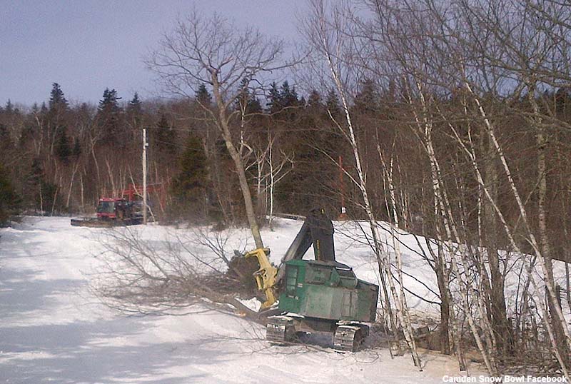 Trail clearing on March 17, 2014