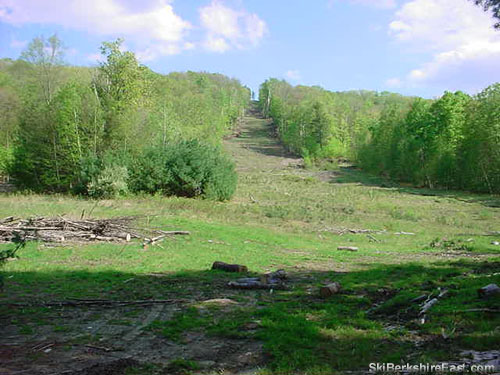 Looking up the Little Beaver trail at the new Wilderness Peak trail in 2002