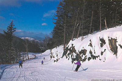 Ridge Run during the 1994-95 season