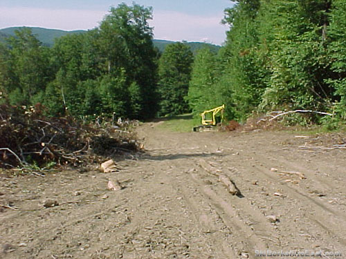 The Running Brook trail during Wilderness Peak work in 1999