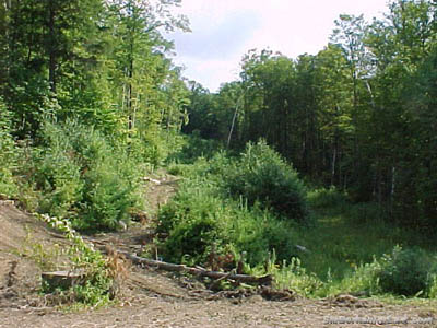 Roundabout prior to being graded (1999)