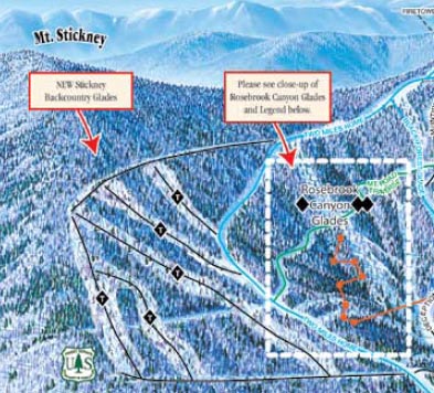 The Mt. Stickney glades on the 2010-2011 trail map