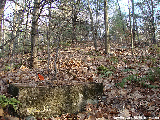 Possible rope tow footing below the possible warming hut footings (2010)