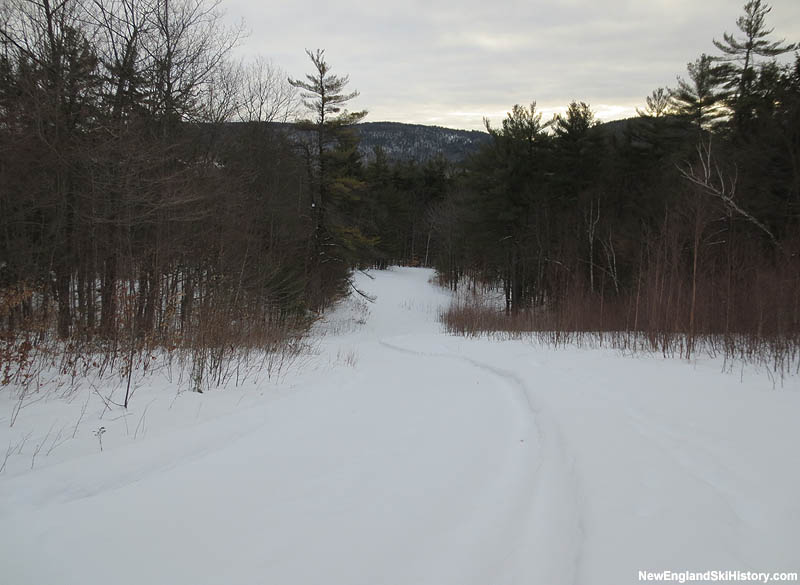 The Fletcher Hale Trail (2013)