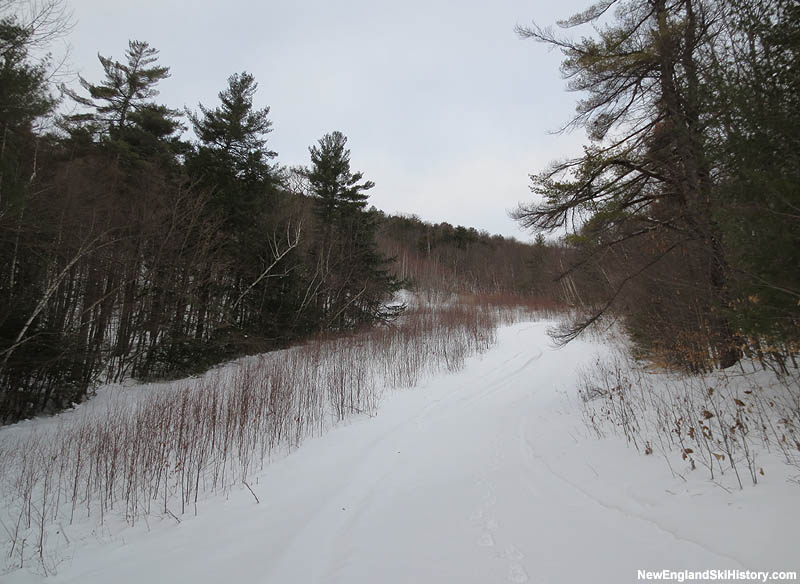 The Fletcher Hale Trail (2013)