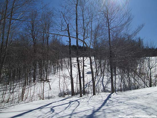 Pinnacle Peak trail clearing as seen from Easy Winder (2014)