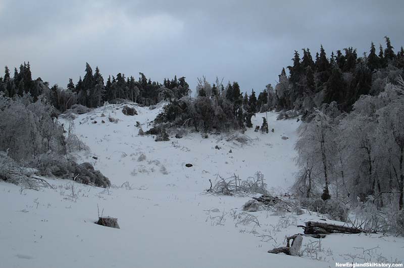 The upper portion of a Pinnacle Peak trail (2014)