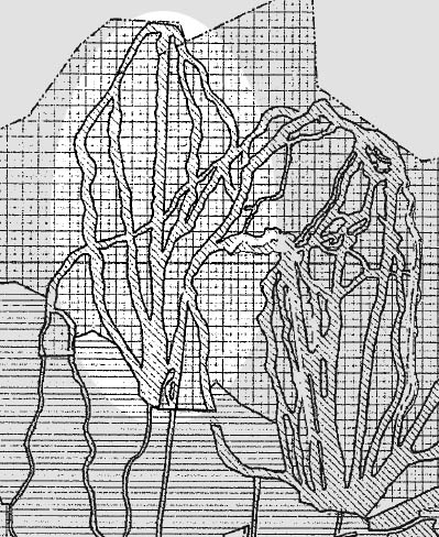 2009 map of Pinnacle Peak in an Army Corps of Engineers report