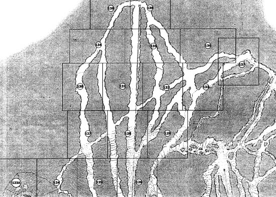 2009 map of Pinnacle Peak in an Army Corps of Engineers report