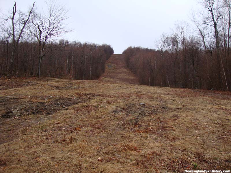 Looking up the lower portion of the summit triple chairlift lift line, the Sweet William trail (2010)