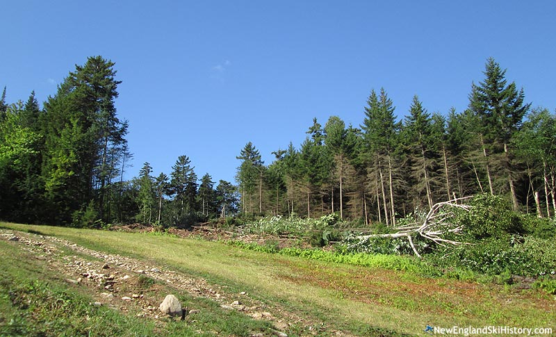 Trail clearing above Revelation (August 2016)