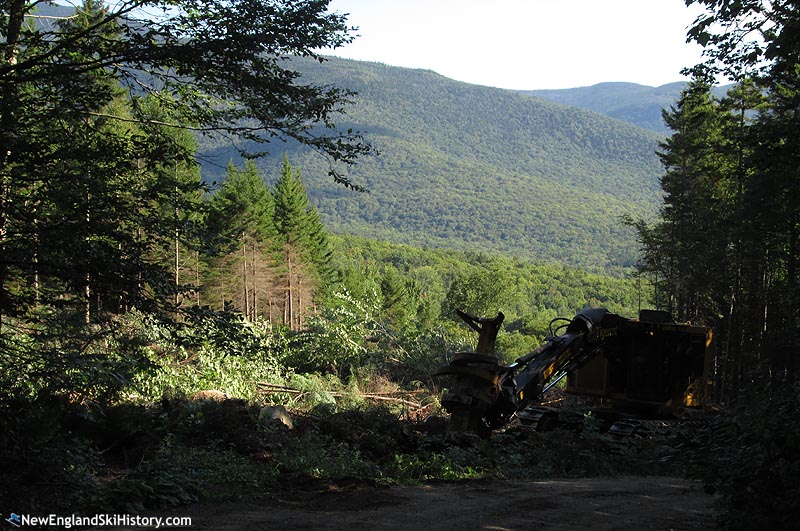 Trail clearing (August 2016)