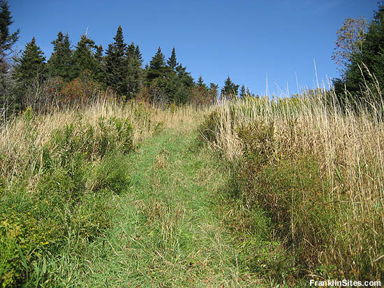 Looking up the former Horn trail (2006)