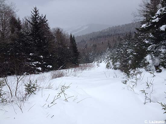 Looking down the former Horn trail (2014)