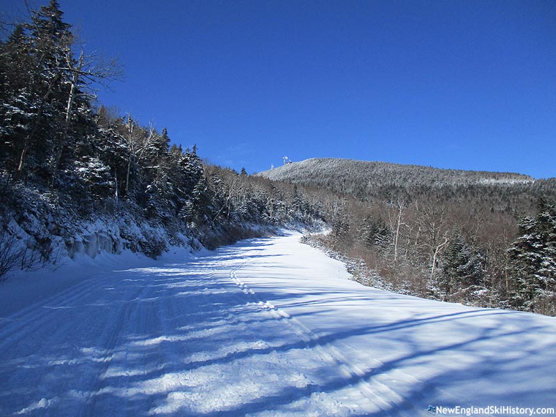 Looking up the connector trail (2016)