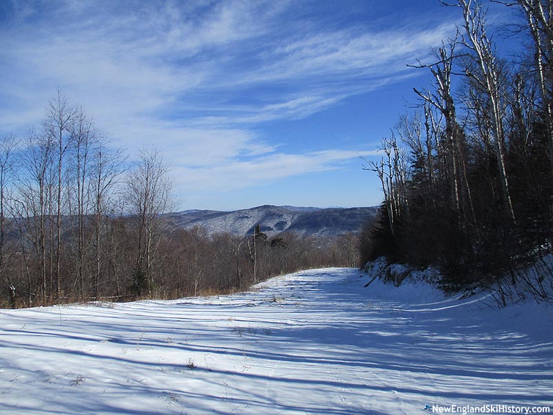 Looking down the connector trail (2016)