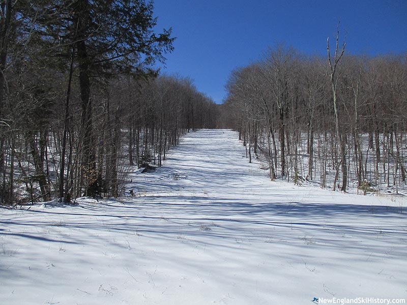 Looking up the bottom of the connector trail (2016)