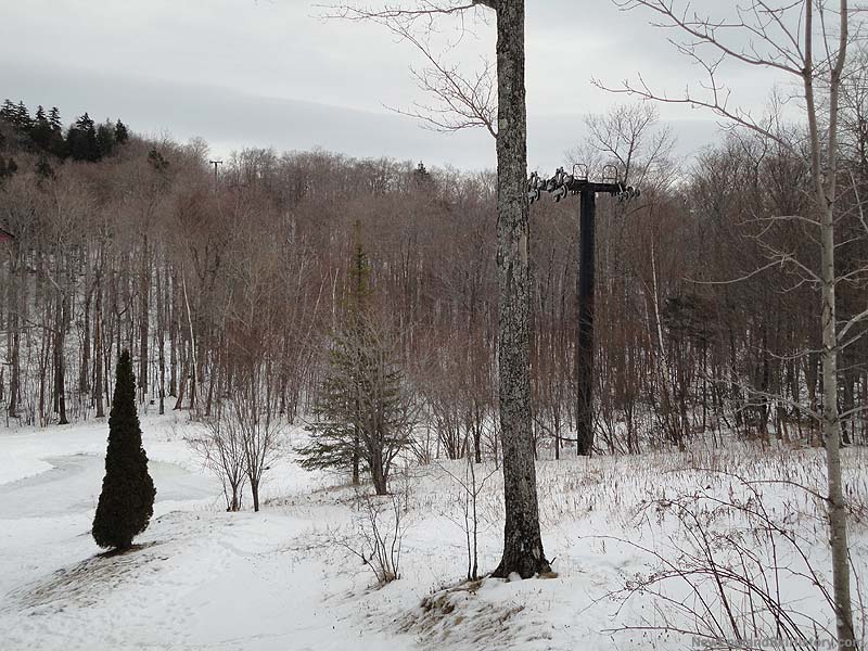 Abandoned lift towers below the Sunrise Village Triple (2010)