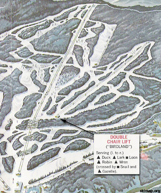 The Birdland area on the 1969 Mad River Glen map