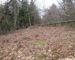 The former lift line (2014)